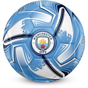 Premier League Fotboll Manchester City FC